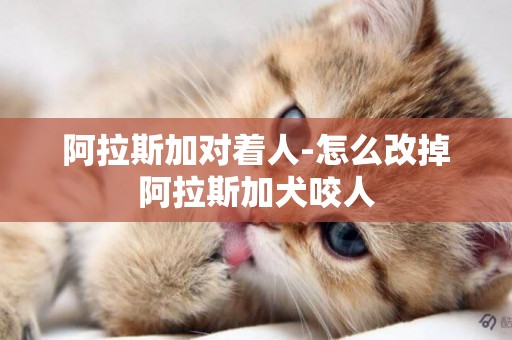 阿拉斯加對著人-怎么改掉阿拉斯加犬咬人