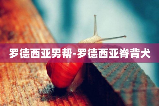 羅德西亞男幫-羅德西亞脊背犬