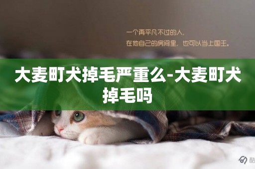 大麥町犬掉毛嚴重么-大麥町犬掉毛嗎