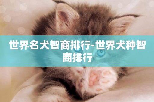 世界名犬智商排行-世界犬種智商排行