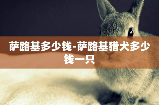 薩路基多少錢-薩路基獵犬多少錢一只