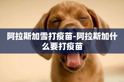 阿拉斯加雪打疫苗-阿拉斯加什么要打疫苗
