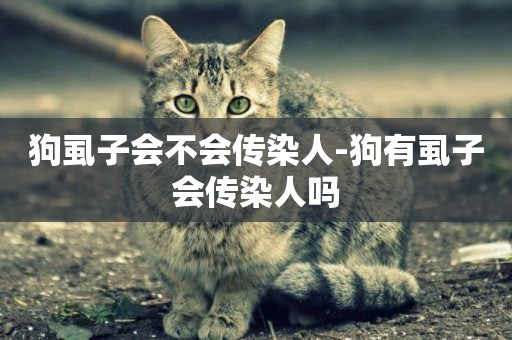狗虱子會不會傳染人-狗有虱子會傳染人嗎