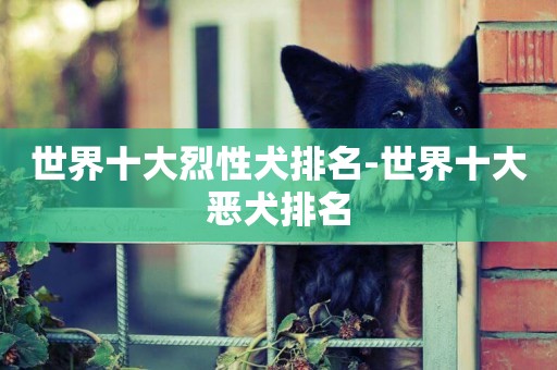 世界十大烈性犬排名-世界十大惡犬排名