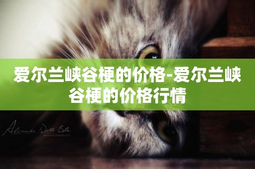 愛爾蘭峽谷梗的價格-愛爾蘭峽谷梗的價格行情