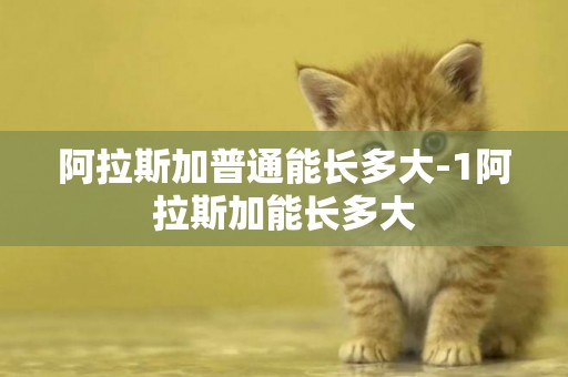 阿拉斯加普通能長多大-1阿拉斯加能長多大