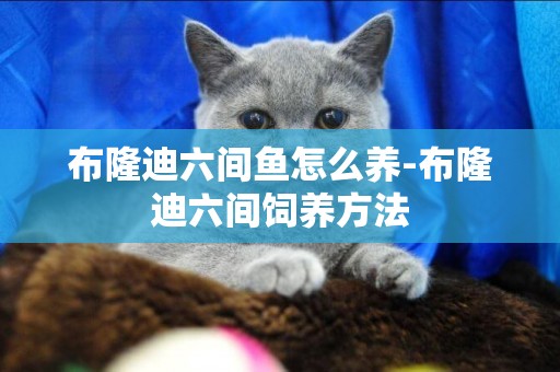 布隆迪六間魚怎么養-布隆迪六間飼養方法