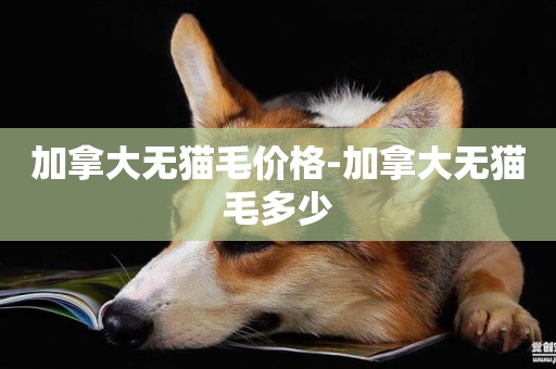加拿大無貓毛價格-加拿大無貓毛多少