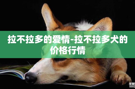 拉不拉多的愛情-拉不拉多犬的價格行情