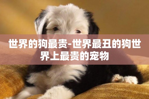 世界的狗最貴-世界最丑的狗世界上最貴的寵物