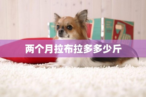 兩個月拉布拉多多少斤