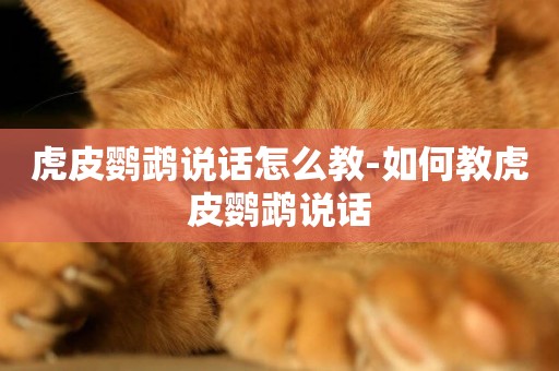 虎皮鸚鵡說話怎么教-如何教虎皮鸚鵡說話