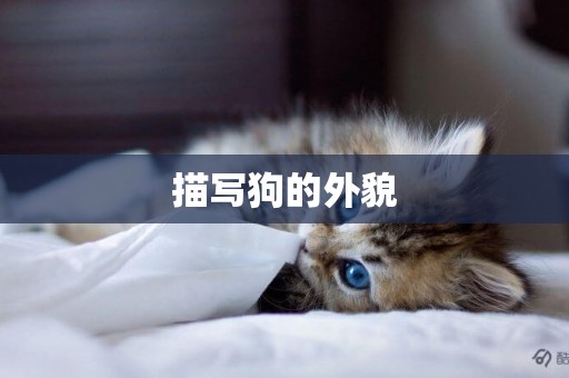 描寫狗的外貌