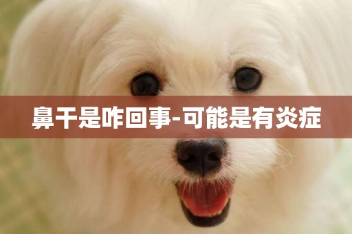鼻干是咋回事-可能是有炎癥