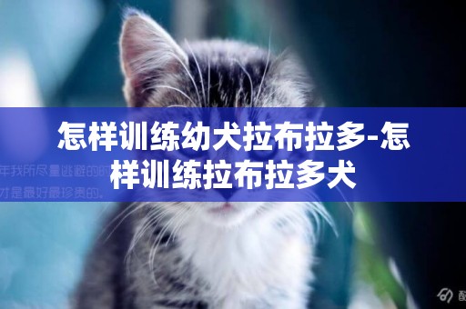 怎樣訓練幼犬拉布拉多-怎樣訓練拉布拉多犬