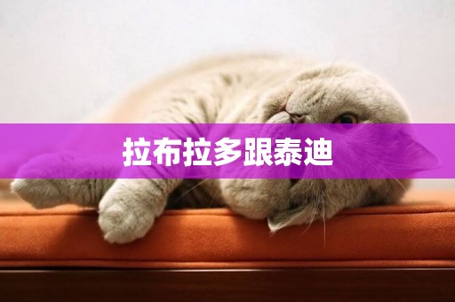 拉布拉多跟泰迪
