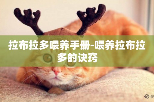 拉布拉多喂養手冊-喂養拉布拉多的訣竅