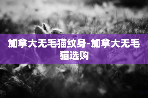 加拿大無毛貓紋身-加拿大無毛貓選購