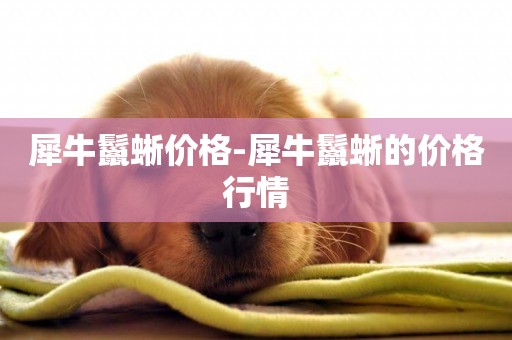 犀牛鬣蜥價格-犀牛鬣蜥的價格行情