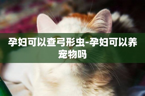 孕婦可以查弓形蟲-孕婦可以養寵物嗎