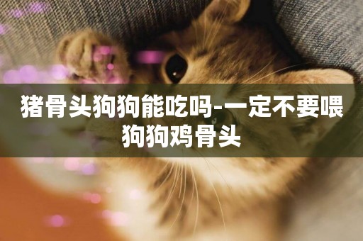 豬骨頭狗狗能吃嗎-一定不要喂狗狗雞骨頭