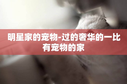 明星家的寵物-過的奢華的一比有寵物的家