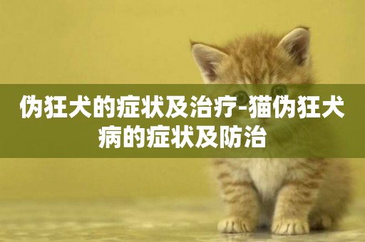 偽狂犬的癥狀及治療-貓偽狂犬病的癥狀及防治