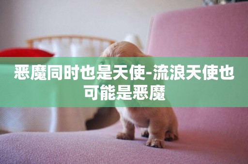 惡魔同時也是天使-流浪天使也可能是惡魔