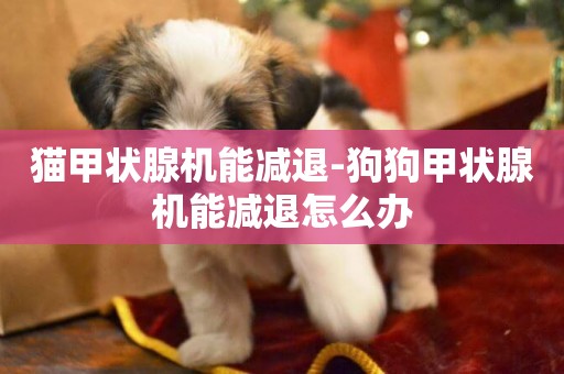 貓甲狀腺機能減退-狗狗甲狀腺機能減退怎么辦