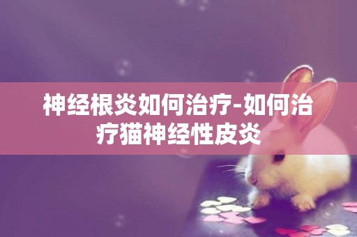 神經根炎如何治療-如何治療貓神經性皮炎