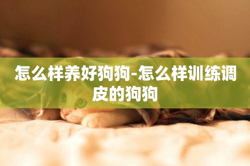怎么樣養好狗狗-怎么樣訓練調皮的狗狗