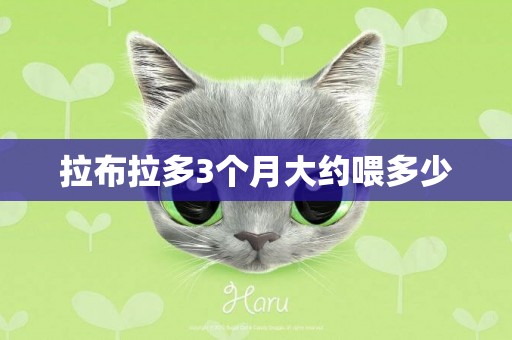 拉布拉多3個月大約喂多少