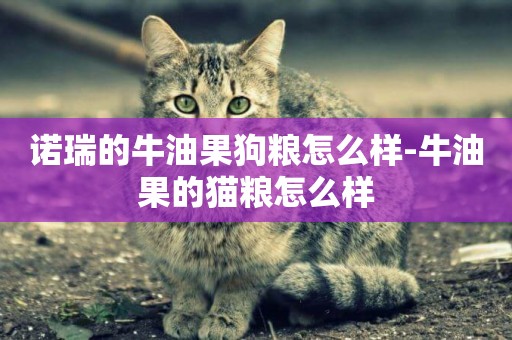 諾瑞的牛油果狗糧怎么樣-牛油果的貓糧怎么樣