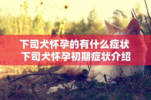 下司犬懷孕的有什么癥狀 下司犬懷孕初期癥狀介紹