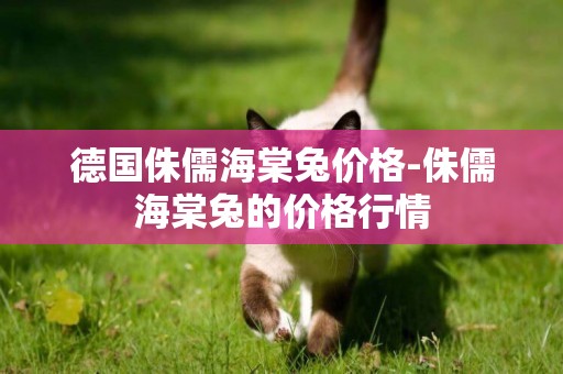 德國侏儒海棠兔價格-侏儒海棠兔的價格行情
