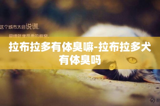 拉布拉多有體臭嘛-拉布拉多犬有體臭嗎