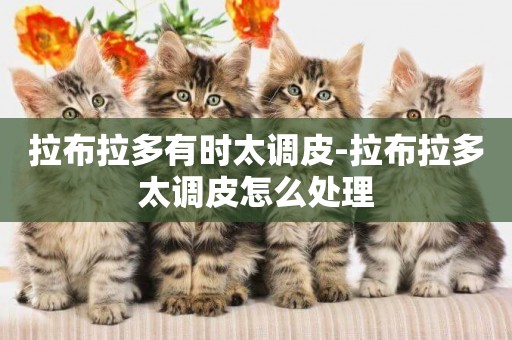 拉布拉多有時太調皮-拉布拉多太調皮怎么處理