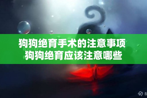 狗狗絕育手術的注意事項 狗狗絕育應該注意哪些