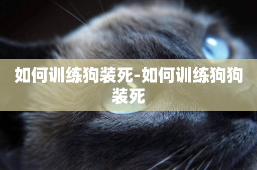 如何訓練狗裝死-如何訓練狗狗裝死