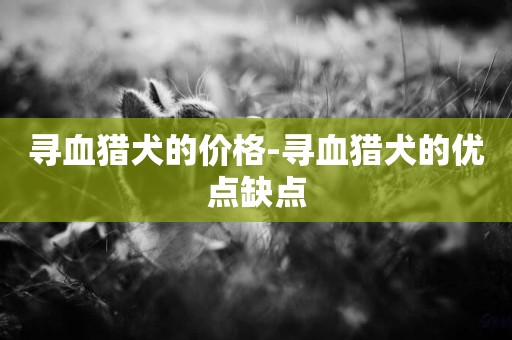 尋血獵犬的價格-尋血獵犬的優點缺點