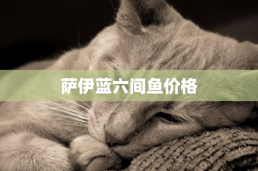 薩伊藍六間魚價格