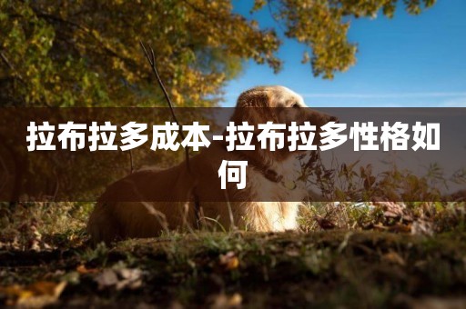 拉布拉多成本-拉布拉多性格如何