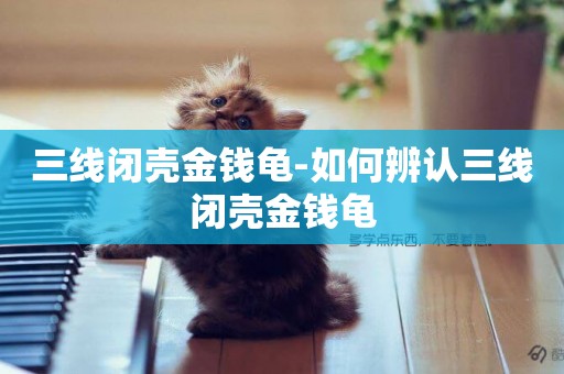 三線閉殼金錢龜-如何辨認三線閉殼金錢龜