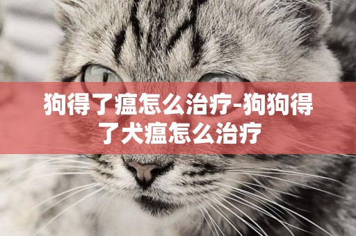 狗得了瘟怎么治療-狗狗得了犬瘟怎么治療