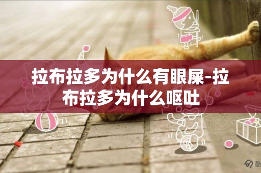 拉布拉多為什么有眼屎-拉布拉多為什么嘔吐