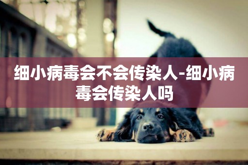 細小病毒會不會傳染人-細小病毒會傳染人嗎