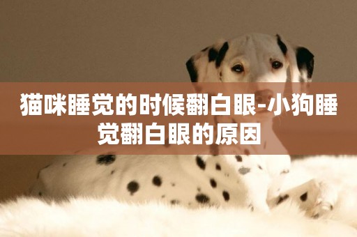 貓咪睡覺的時候翻白眼-小狗睡覺翻白眼的原因