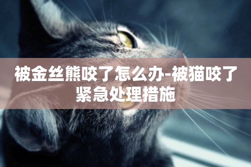 被金絲熊咬了怎么辦-被貓咬了緊急處理措施