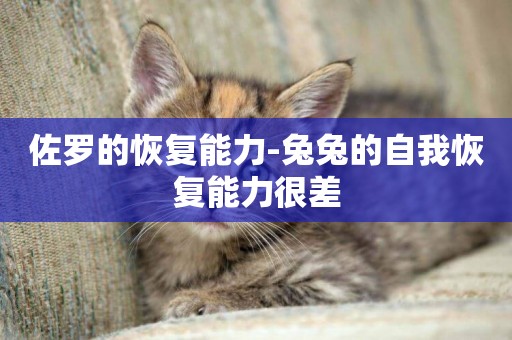 佐羅的恢復能力-兔兔的自我恢復能力很差