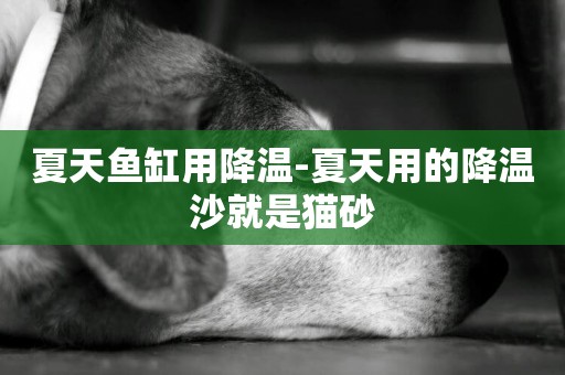 夏天魚缸用降溫-夏天用的降溫沙就是貓砂
